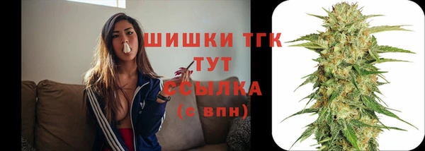 эйфоретик Заволжье