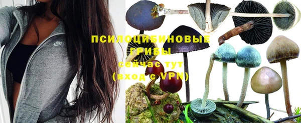 эйфоретик Заволжье