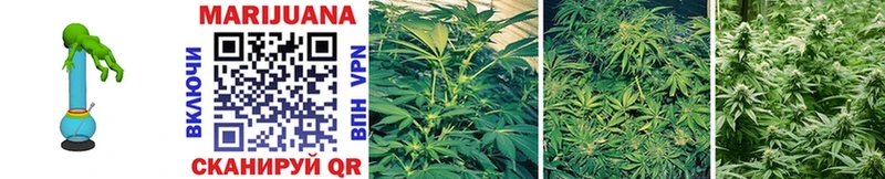 Бошки марихуана THC 21%  Купить  Иннополис 